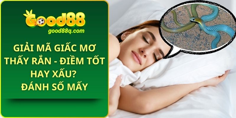 Giải mã giấc mơ thấy rắn