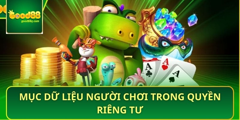 Mục dữ liệu người chơi trong quyền riêng tư